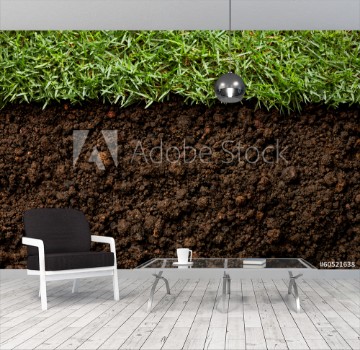 Picture of grass and dirt
